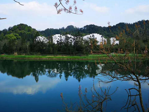 法律規(guī)定盜竊一萬(wàn)元判多久